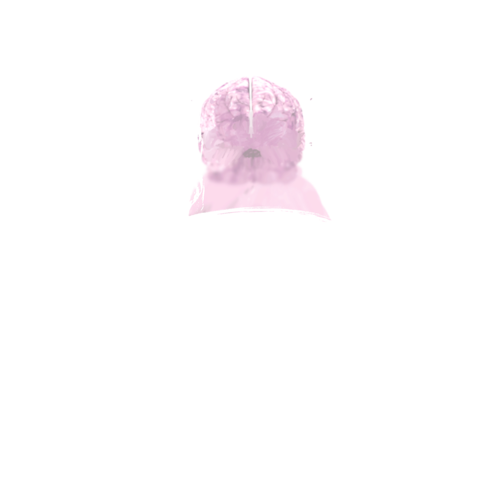 brainix 2.png